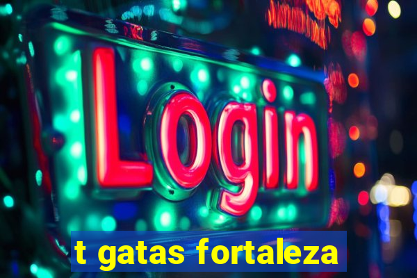 t gatas fortaleza